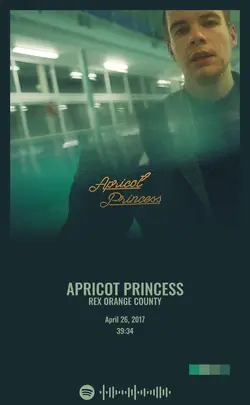 Rex Orange County - Apricot Princess.jpg